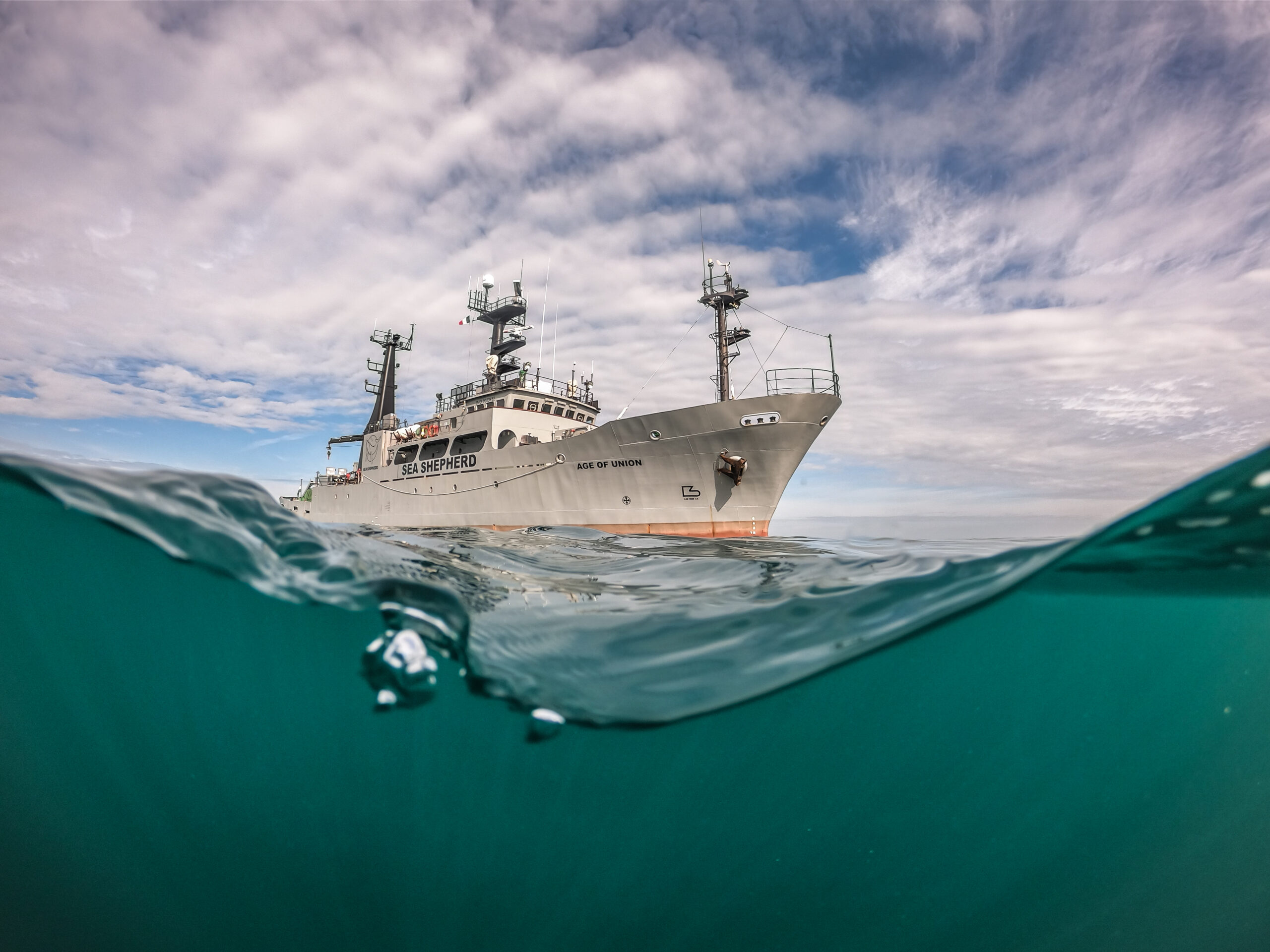 Sea Shepherd, privateers of the 21st century