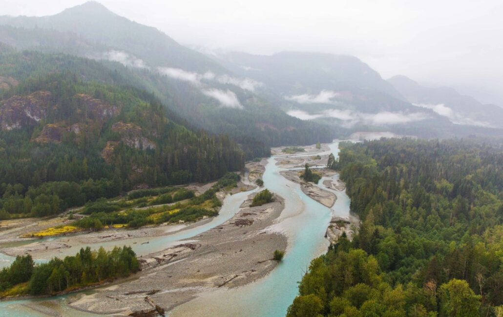 In British Columbia, the Salmon Run Defines an Environment and its ...