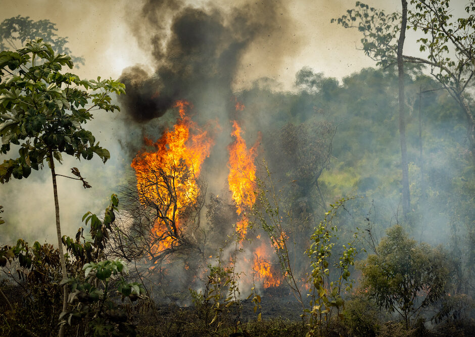 Quebec Wildfires Show the Urgent Need for Conservation | Age of Union