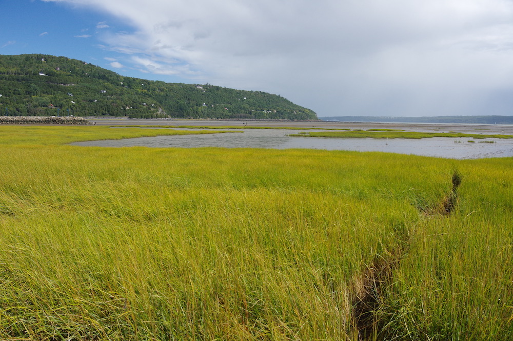 The Bay of Fundy and Its Wetlands (Canada)